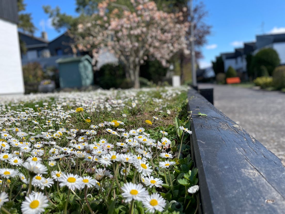 Zwei Wochen im Frühling… 