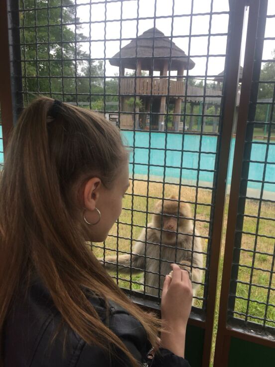 Safari Park with cute monkeys 🐒 