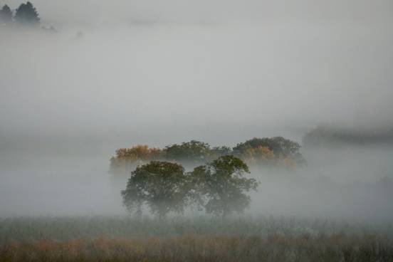 seven.pics presents - Herbstzeit ist Nebelzeit