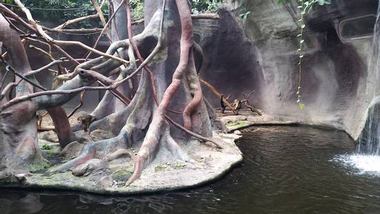 sevenpics presents - Индонезийские джунгли в пражском зоопарке