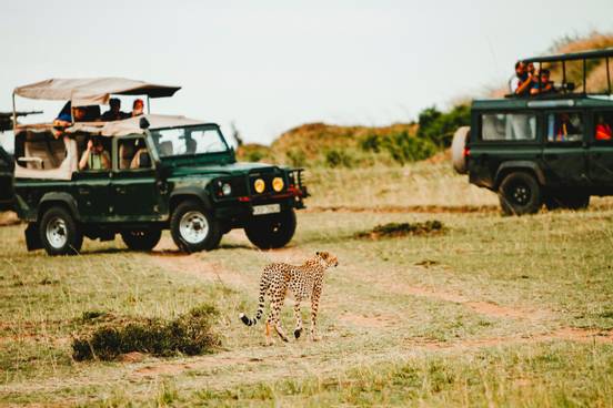 sevenpics presents - 5 Beste afrikanische Safari-Traumziele 
