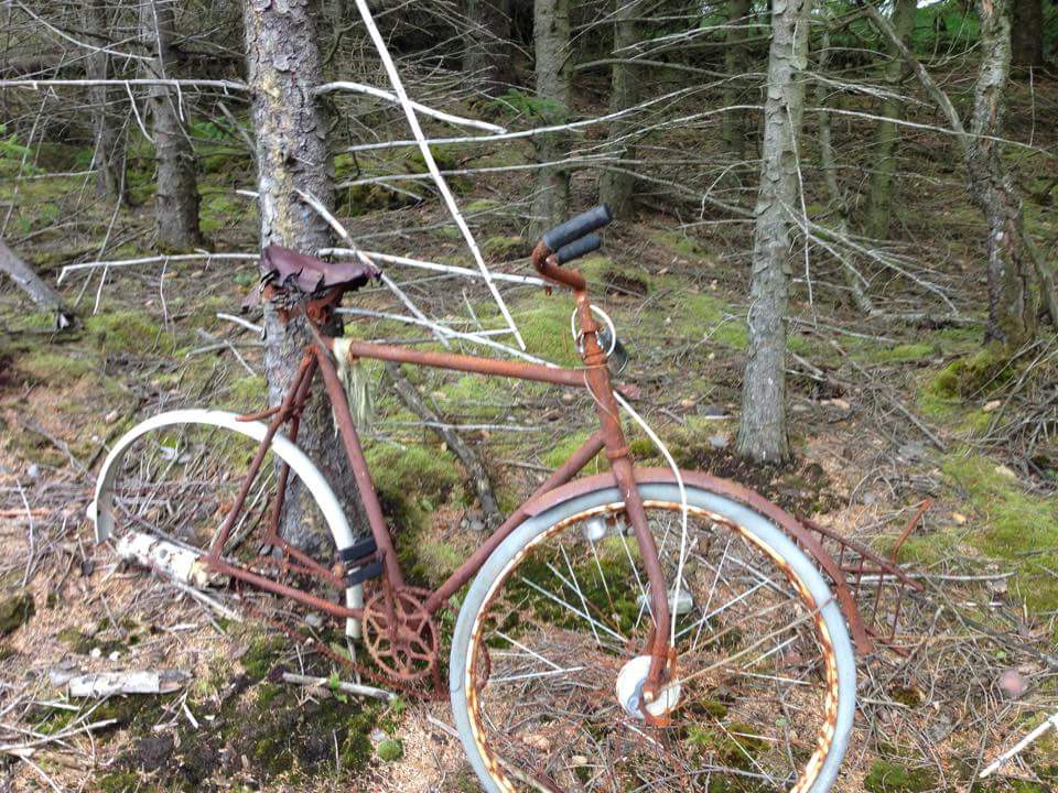 Verrostetes Fahrrad aus dem Wald