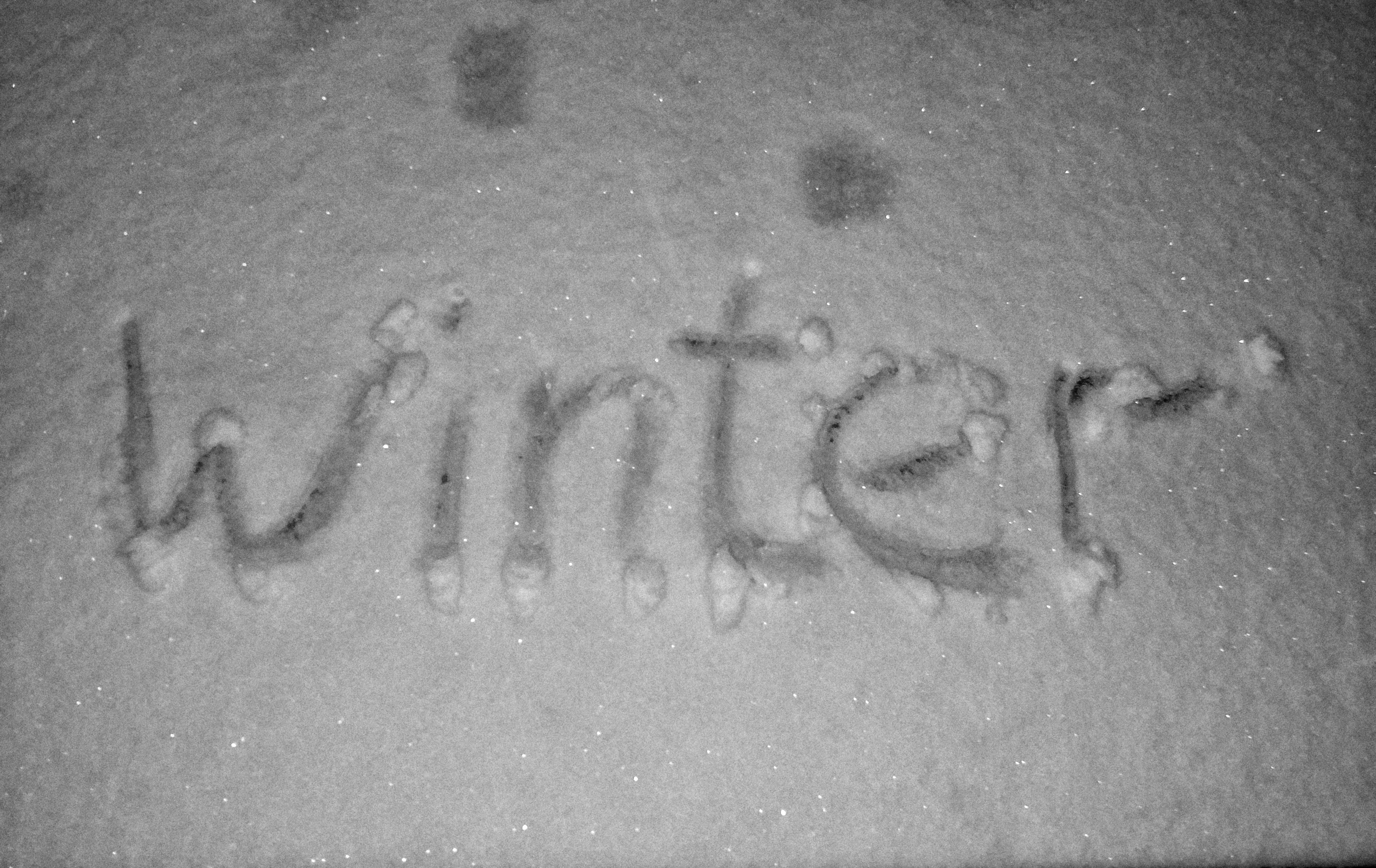 Hello, winter! ❄️