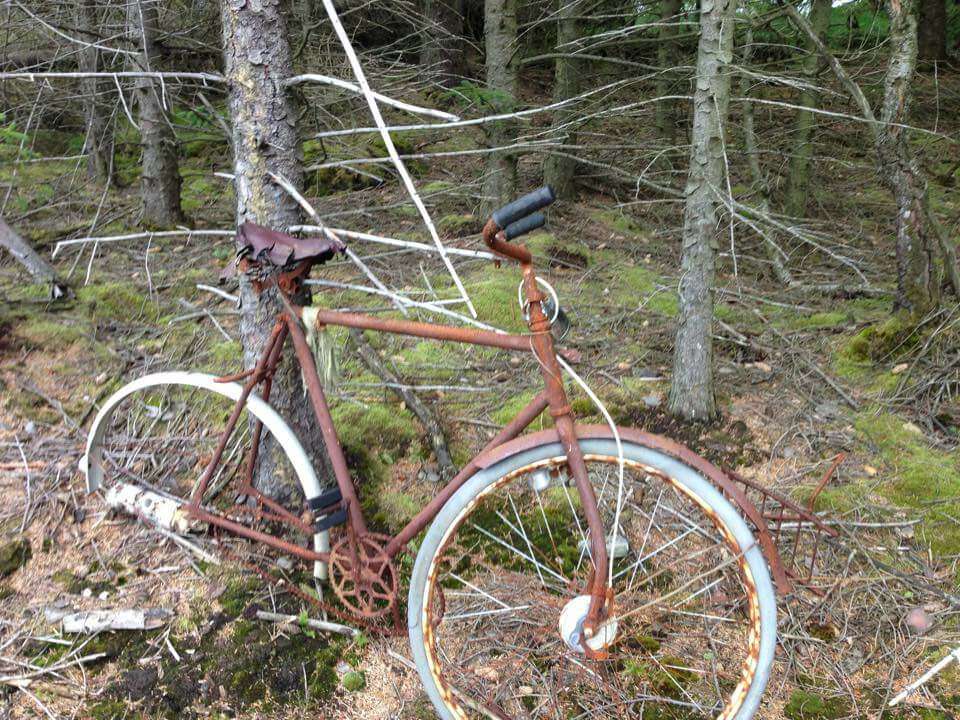 Заблудившийся велогоньщик в Норвегии