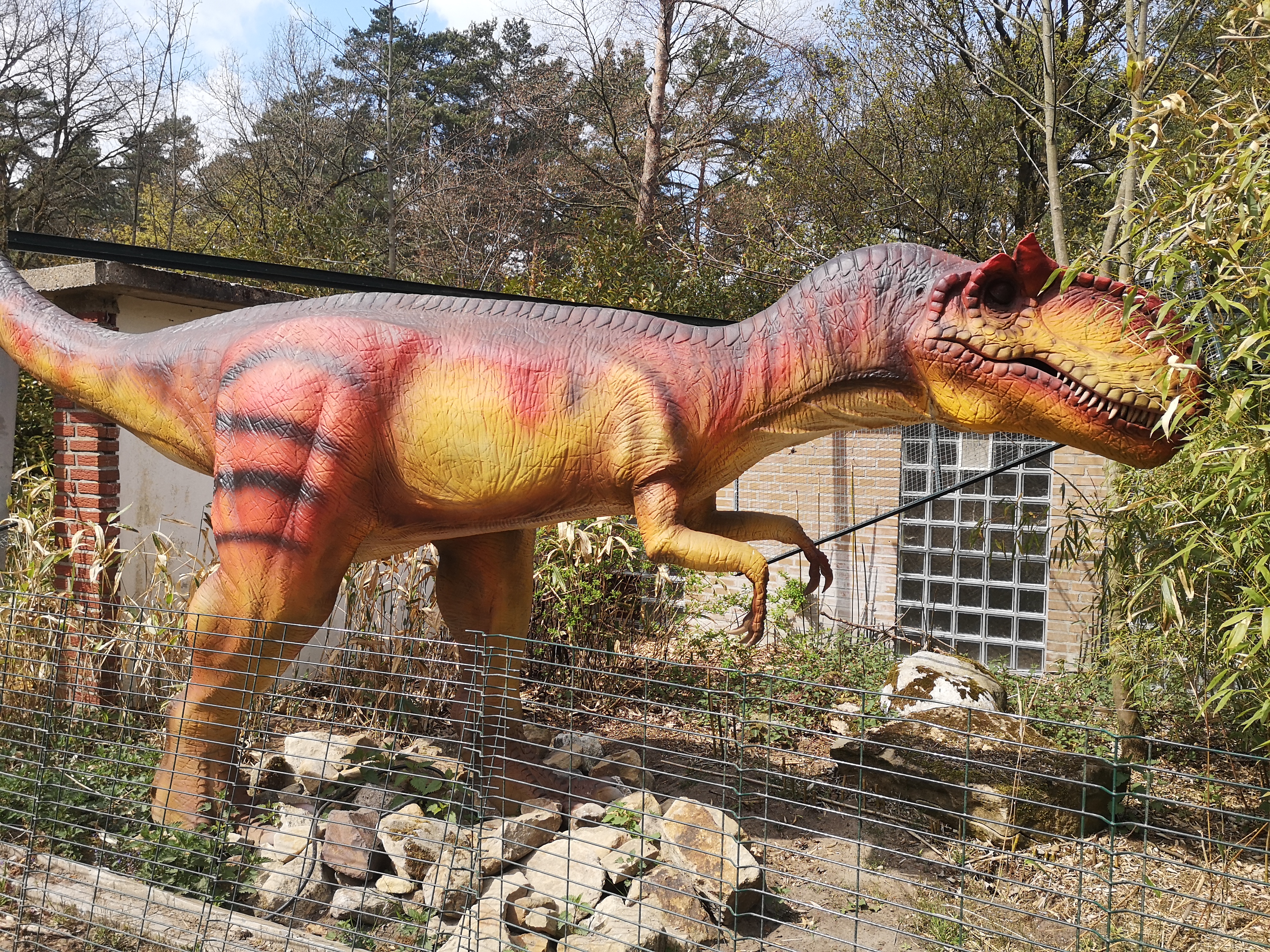 seven.pics presents - Зоопарк Dinopark Metelen 