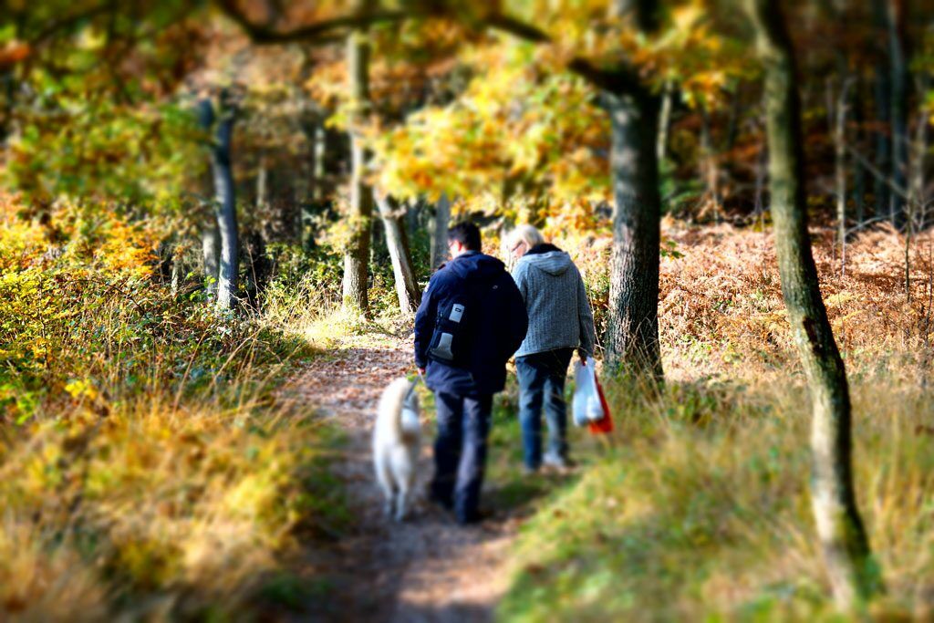 Прогулка в лесу "Oer-Erkenschwick"