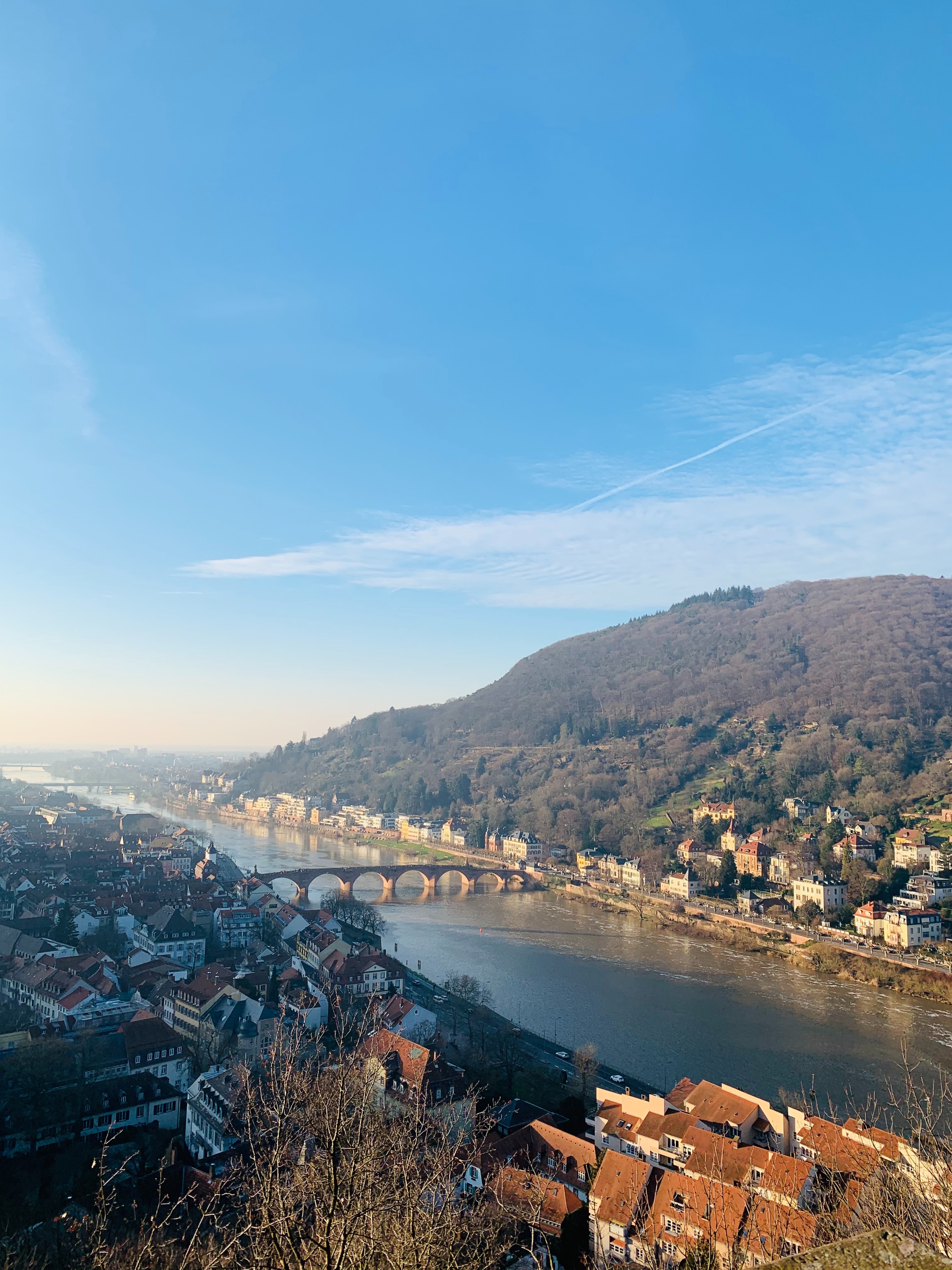 Heidelberg castle ruin