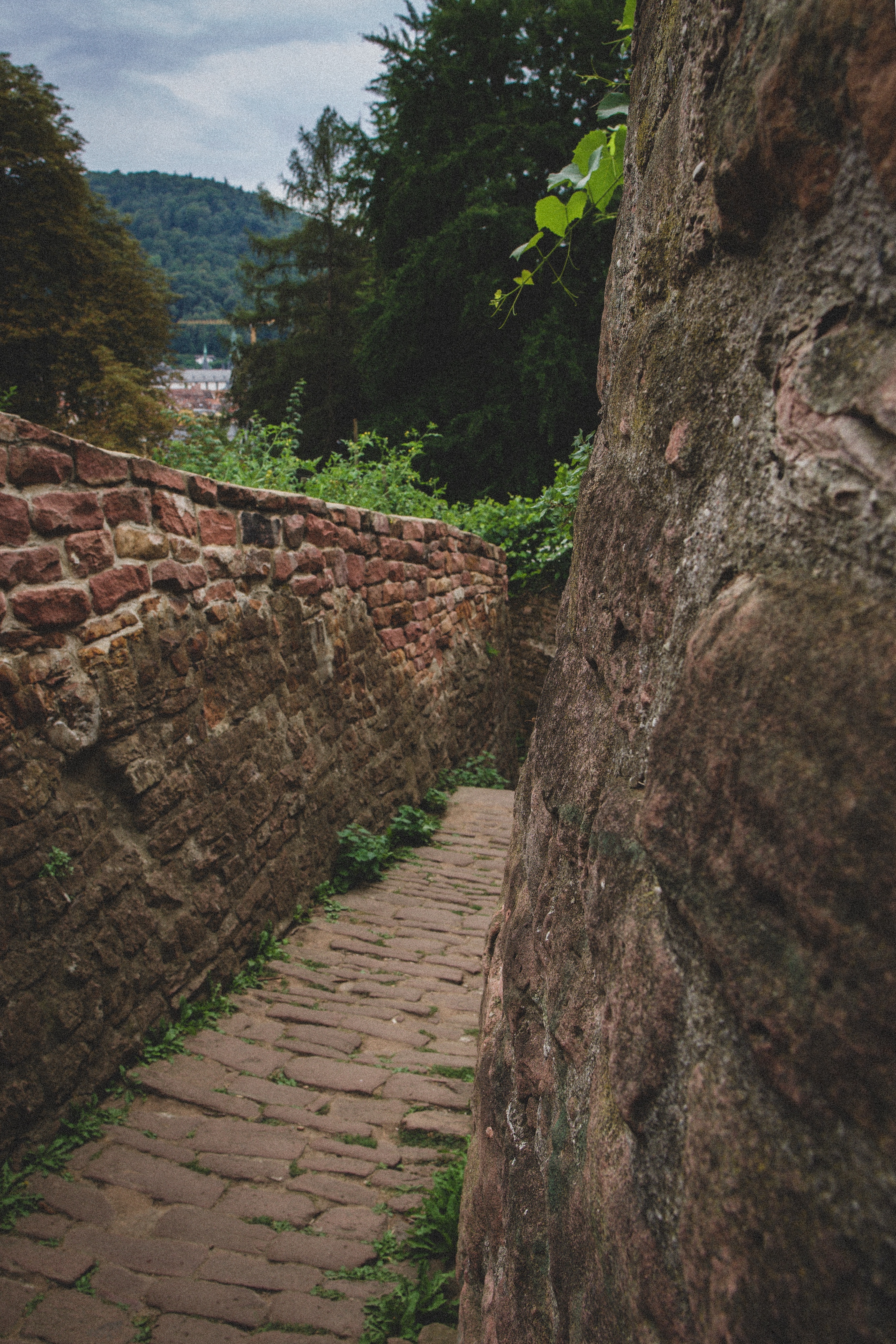 Highlights of visiting Heidelberg: Walk the path of the great minds and brains