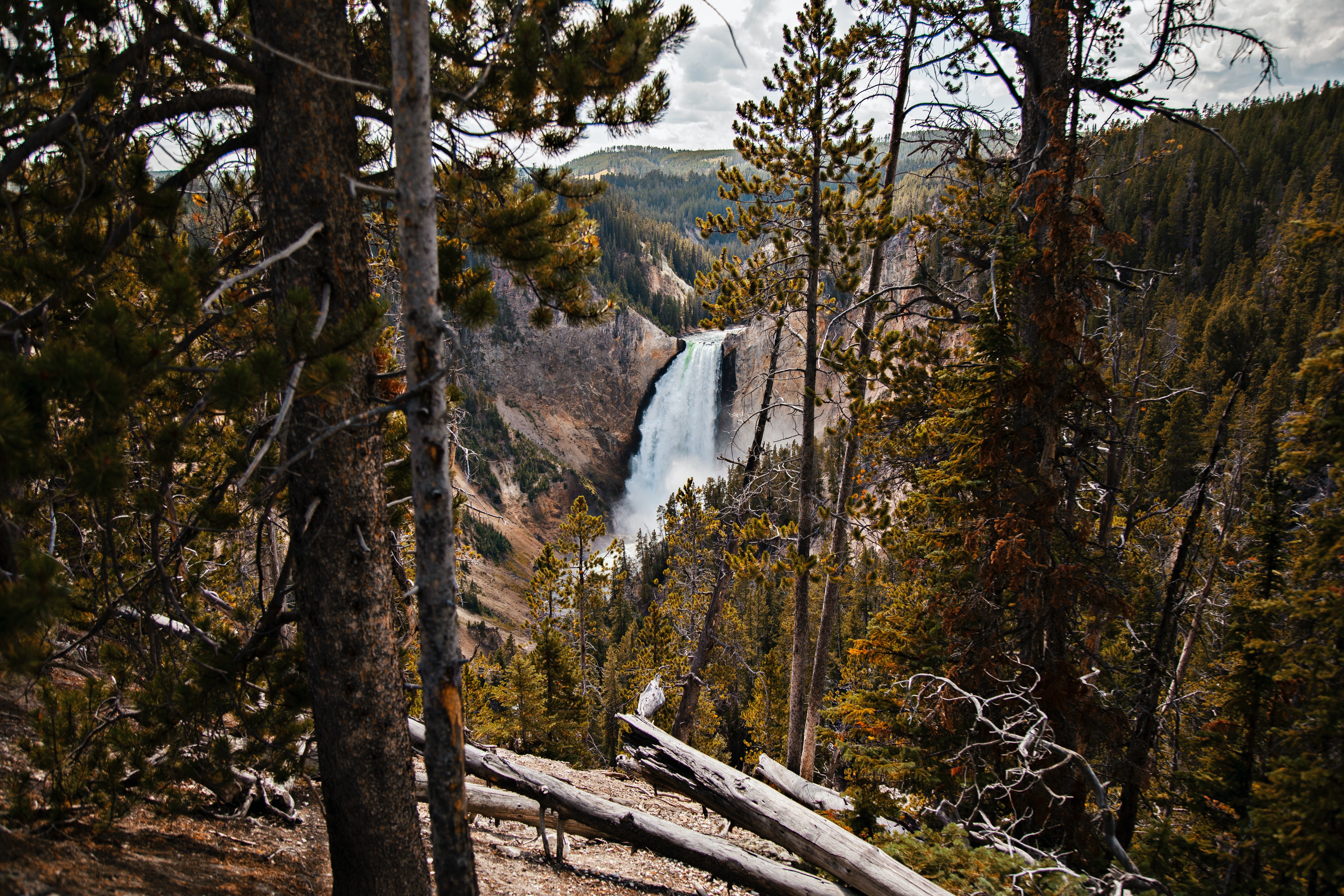 ENTRANCE FEE OF YELLOWSTONE NATIONAL PARK