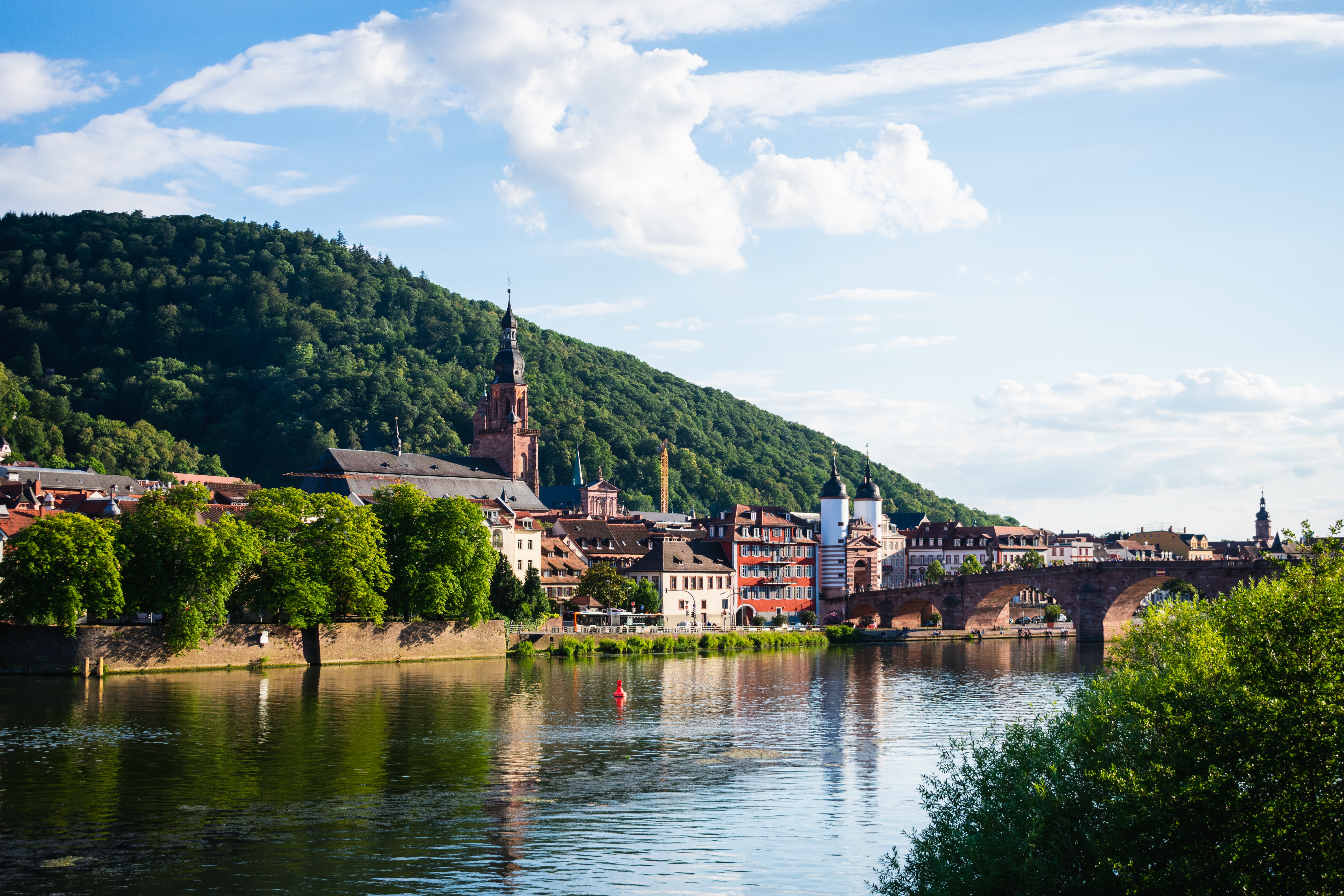 Stroll along the River Neckar & Alte Brucke
