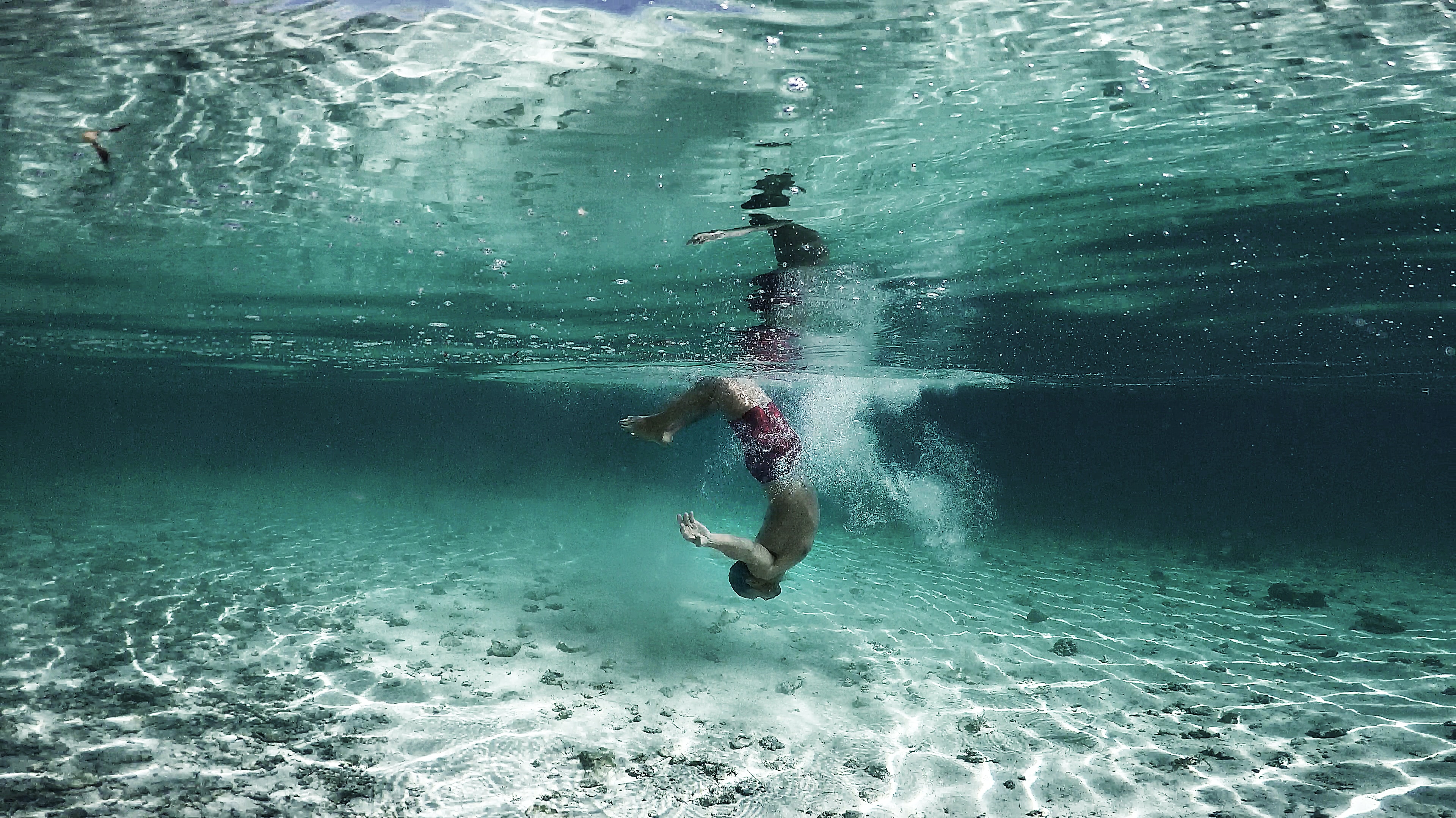 Scuba dive to enjoy moments with different aquatic species 