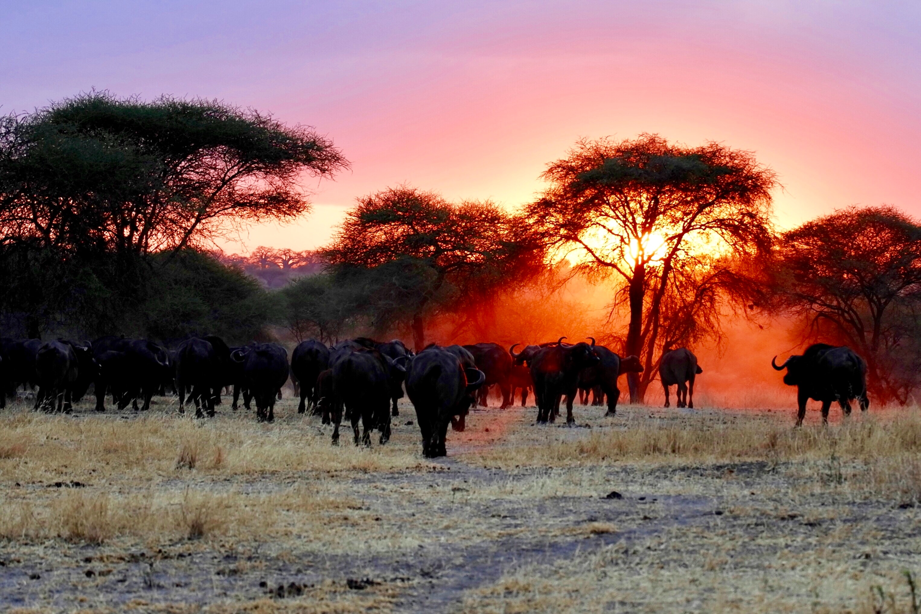 Top 5 Places to Visit in Tanzania 