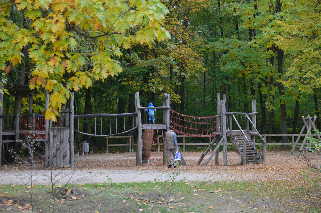 Детская площадка в лесу