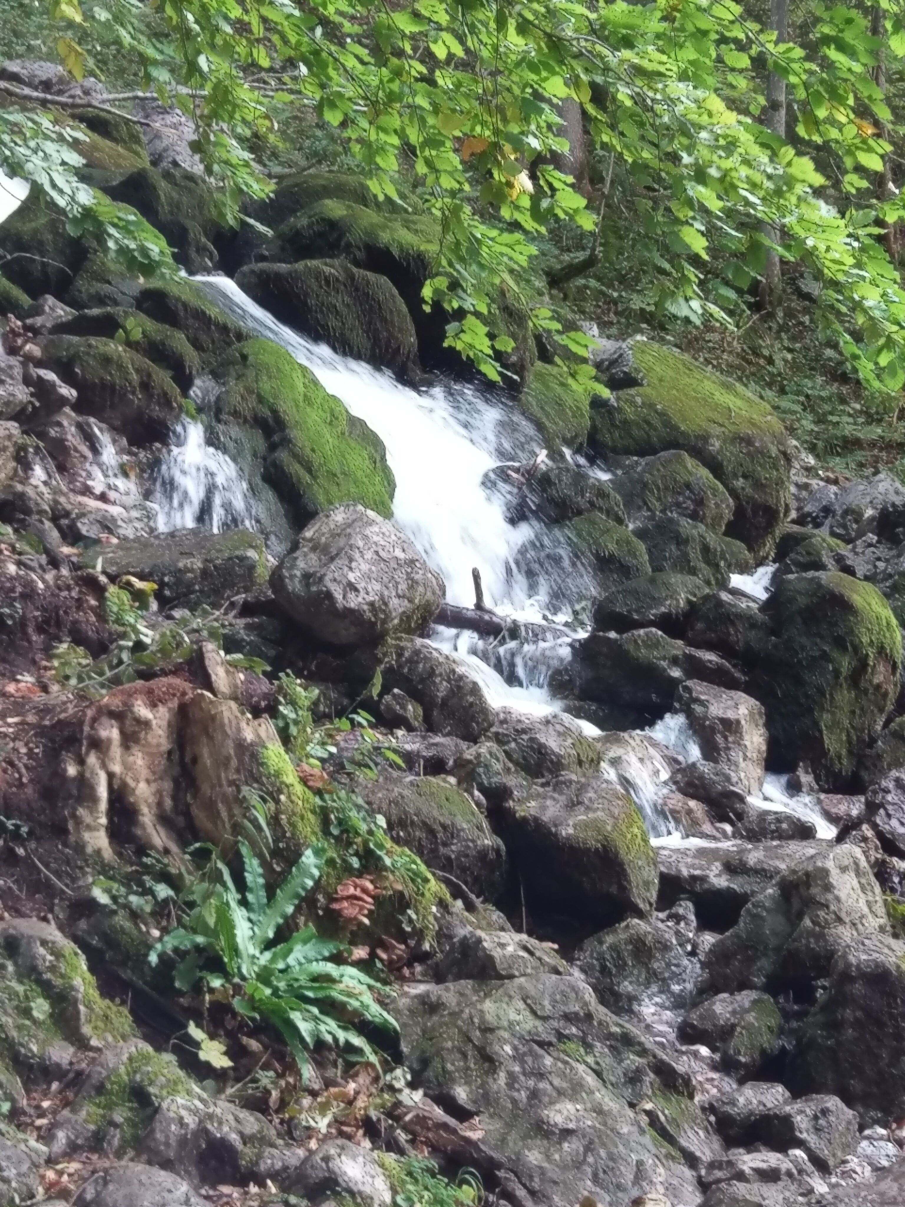Röthbach Wasserfall