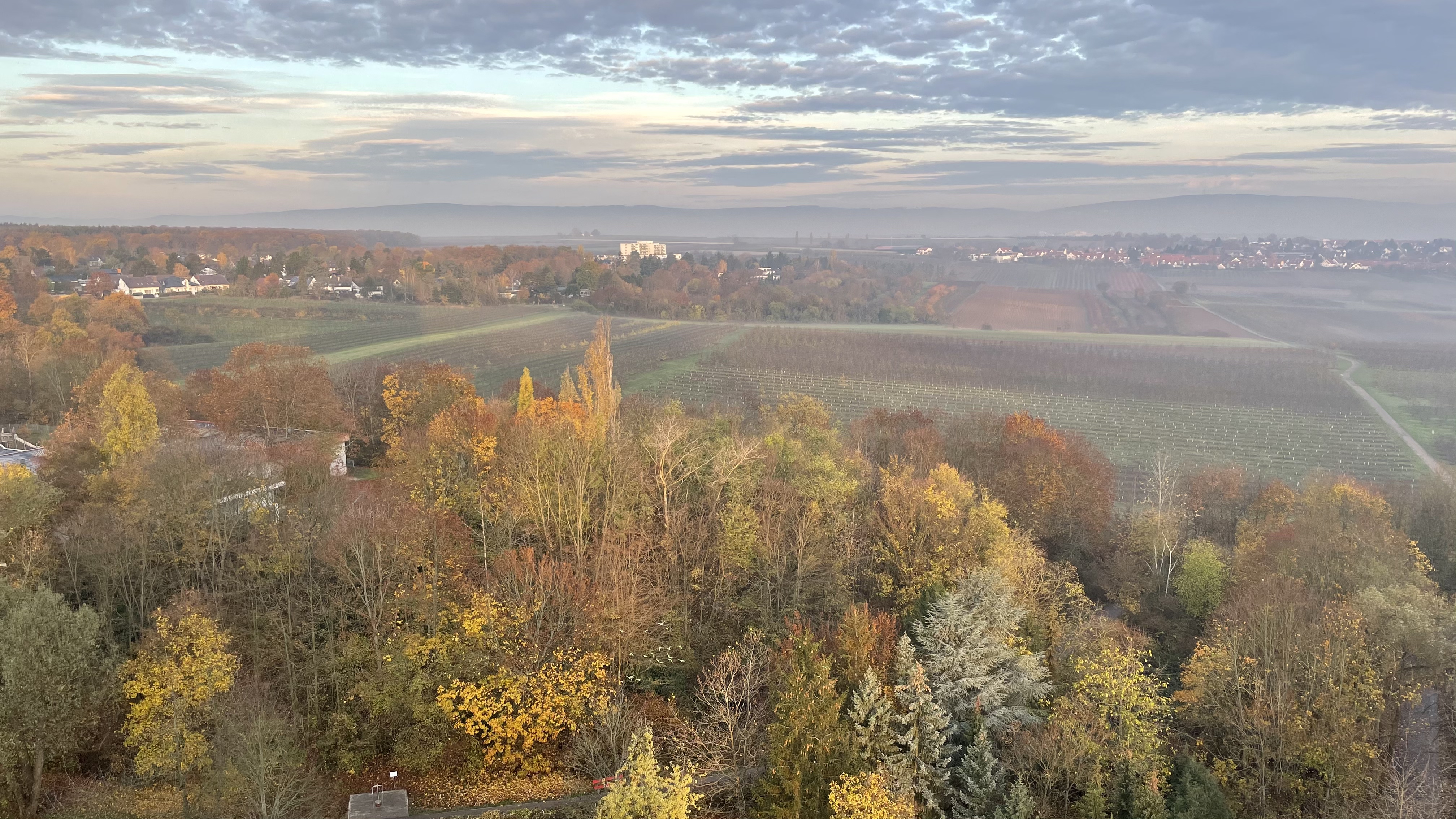 Herbsthimmel über Mainz